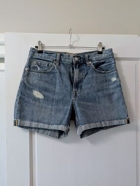 Everlane Distressed Denim Shorts - Light Blue